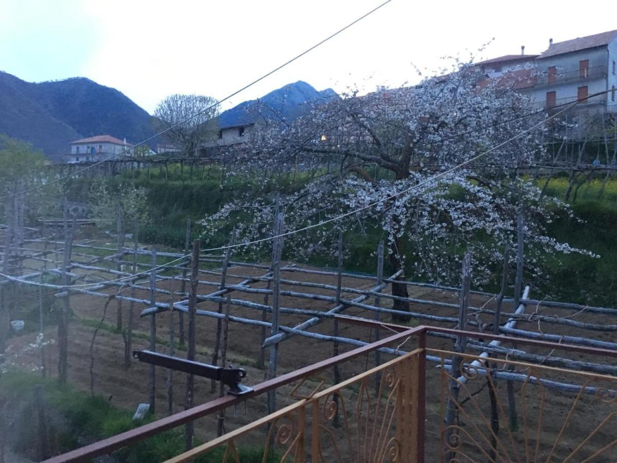 Dafne Holiday Agerola Bagian luar foto