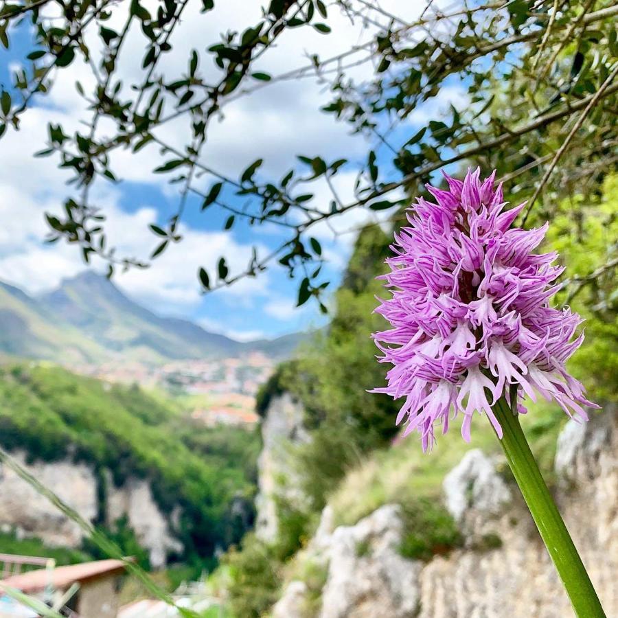 Dafne Holiday Agerola Bagian luar foto